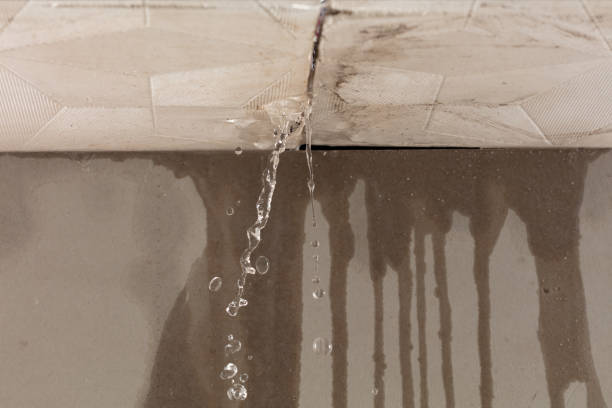 Professional Burst Pipe Cleanup technician working in Edgewater, NJ